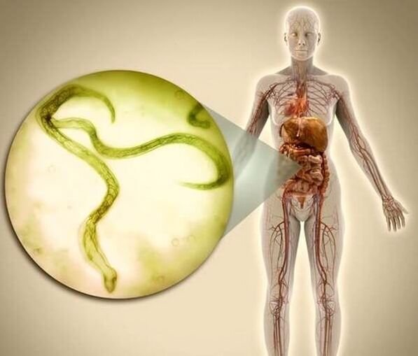 Parasitas no corpo humano