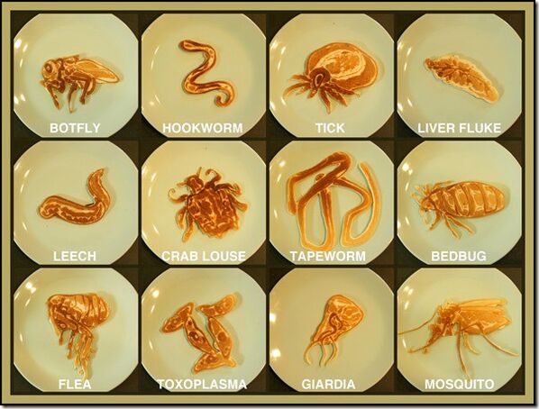 parasitas