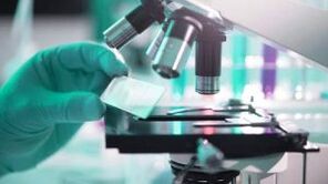 resultados de testes para a presença de parasitas