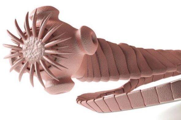 parasita do corpo humano