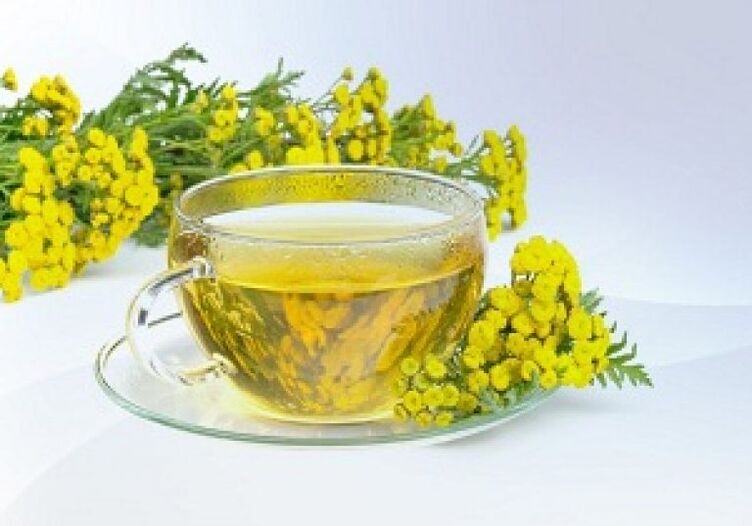 A infusão de Tansy ajudará a se livrar dos parasitas no corpo